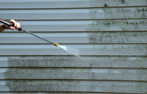 Best Sidewalk and Walkway Cleaning  in Warrenton, MO